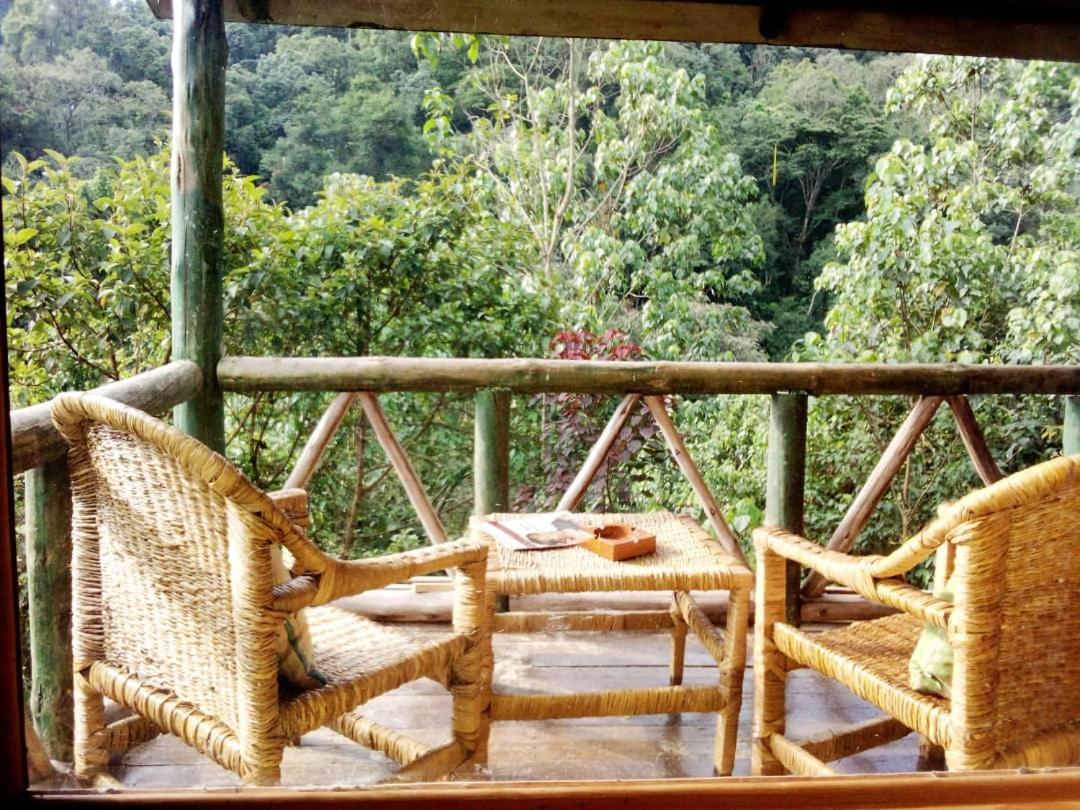 Kisoro Gorilla Hills Eco-Lodge מראה חיצוני תמונה