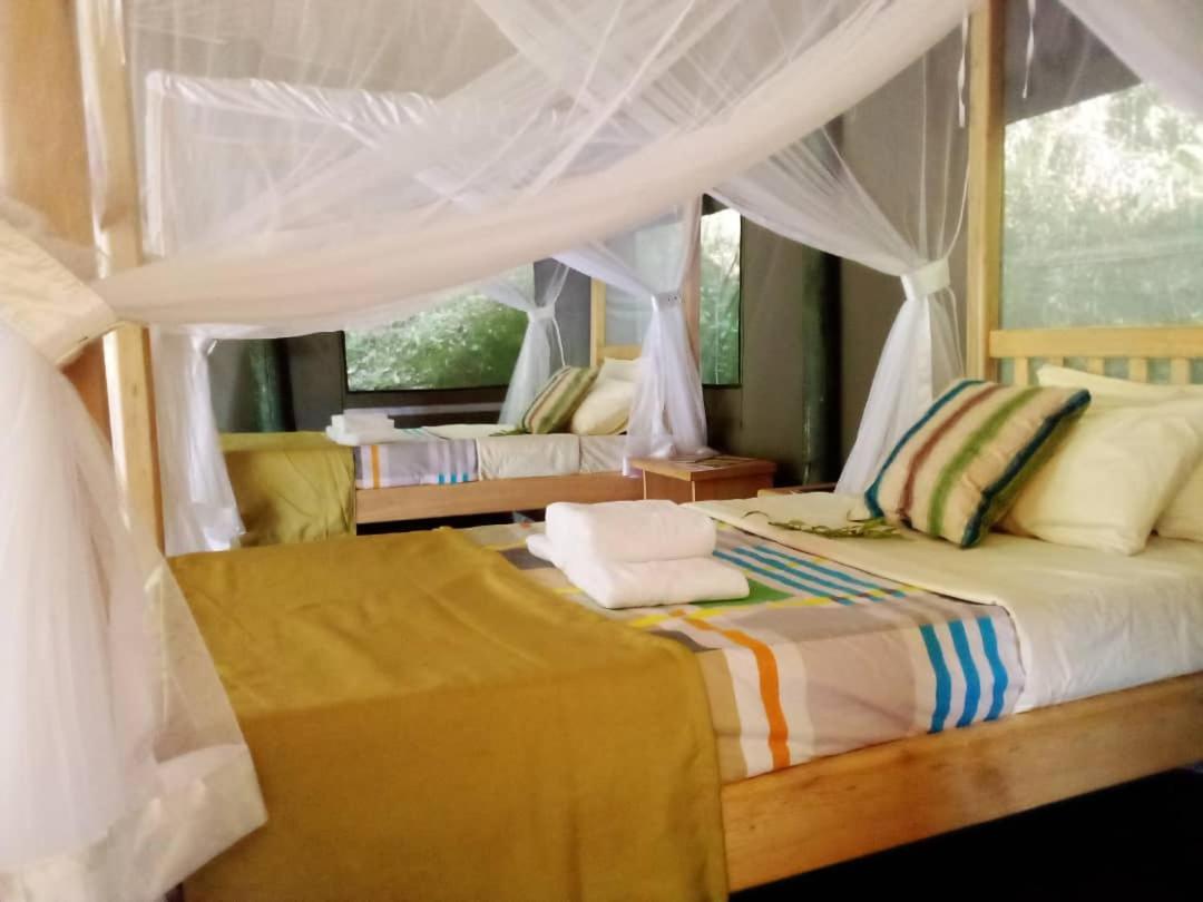 Kisoro Gorilla Hills Eco-Lodge מראה חיצוני תמונה