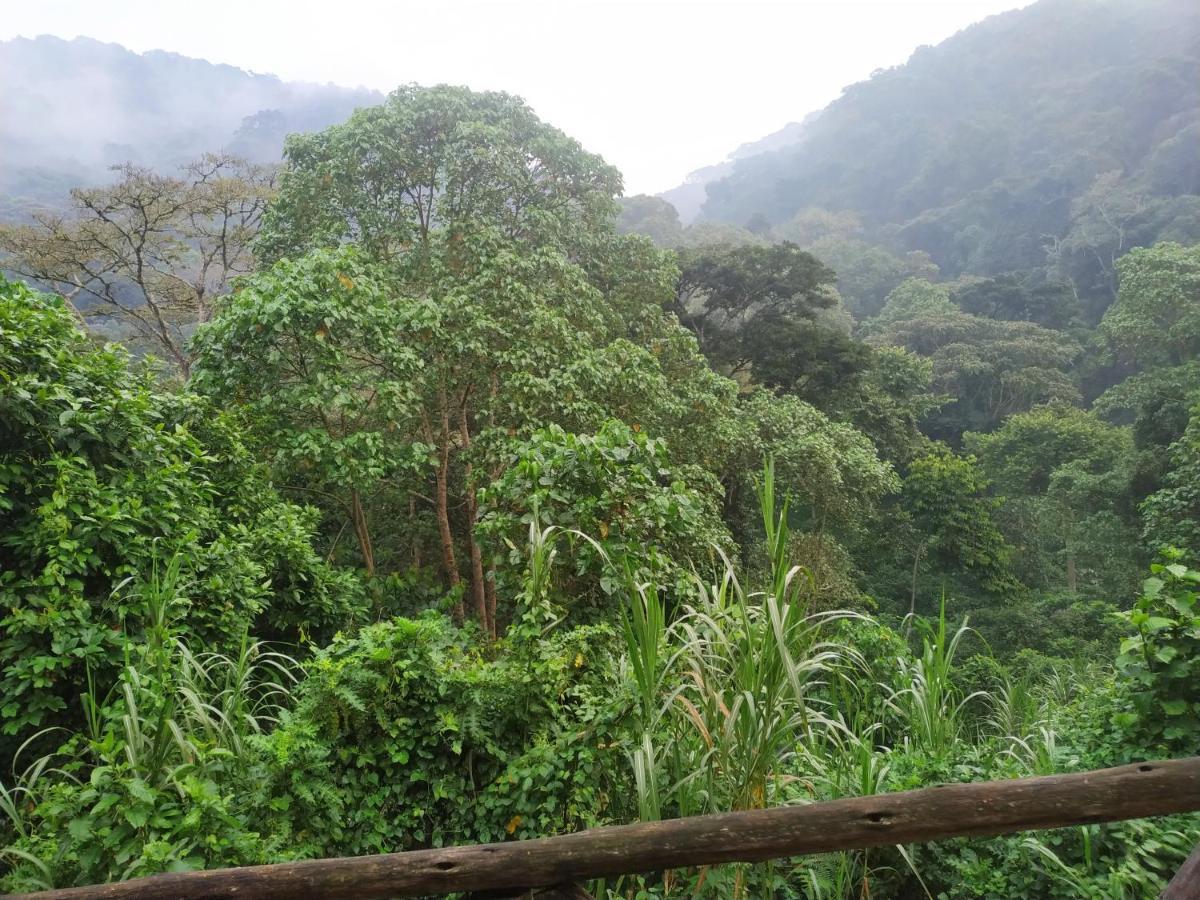 Kisoro Gorilla Hills Eco-Lodge מראה חיצוני תמונה