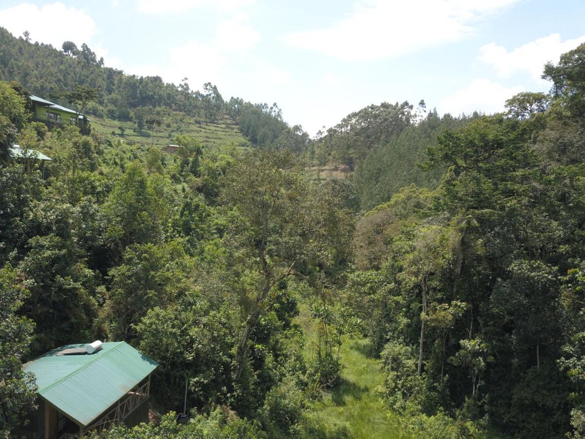 Kisoro Gorilla Hills Eco-Lodge מראה חיצוני תמונה